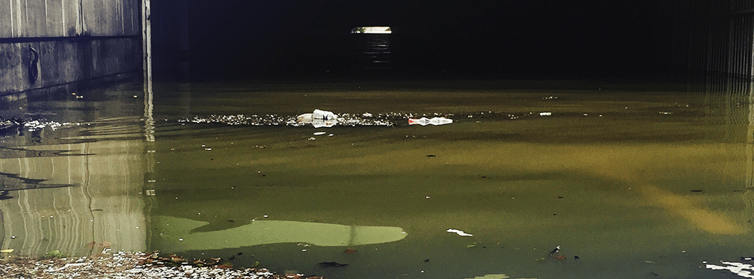 Cafeína como indicador de contaminação antropogênica