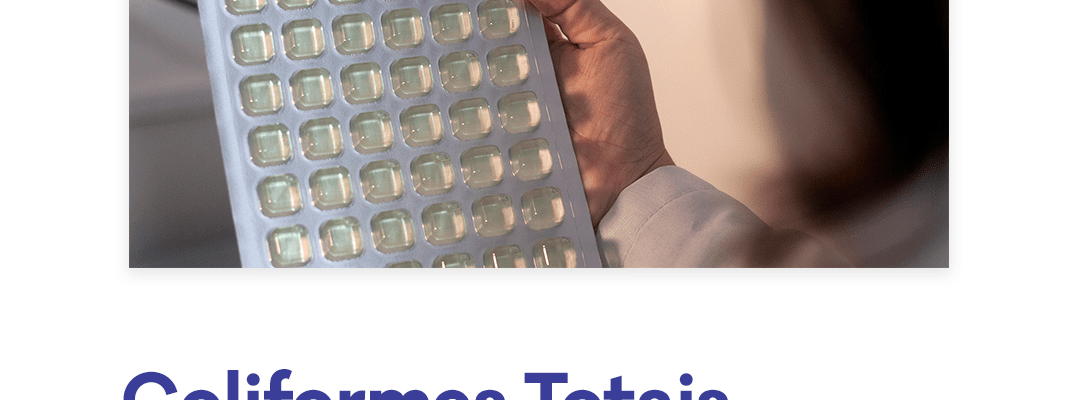 12882-.-Conteúdo-Outubro-PromatecPrancheta-16-copiar