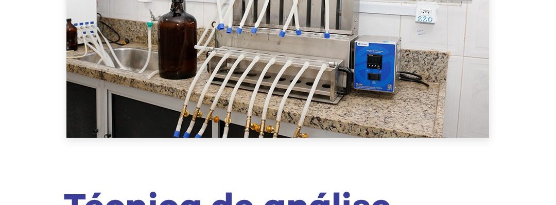 Prancheta 15 copiar 7