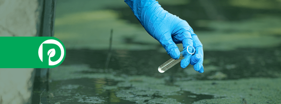 Promatec_-_CAPA BLOG 27